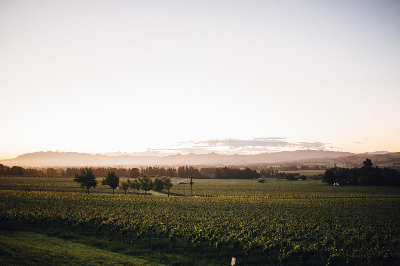 Black Estate B & B Waipara Eksteriør billede